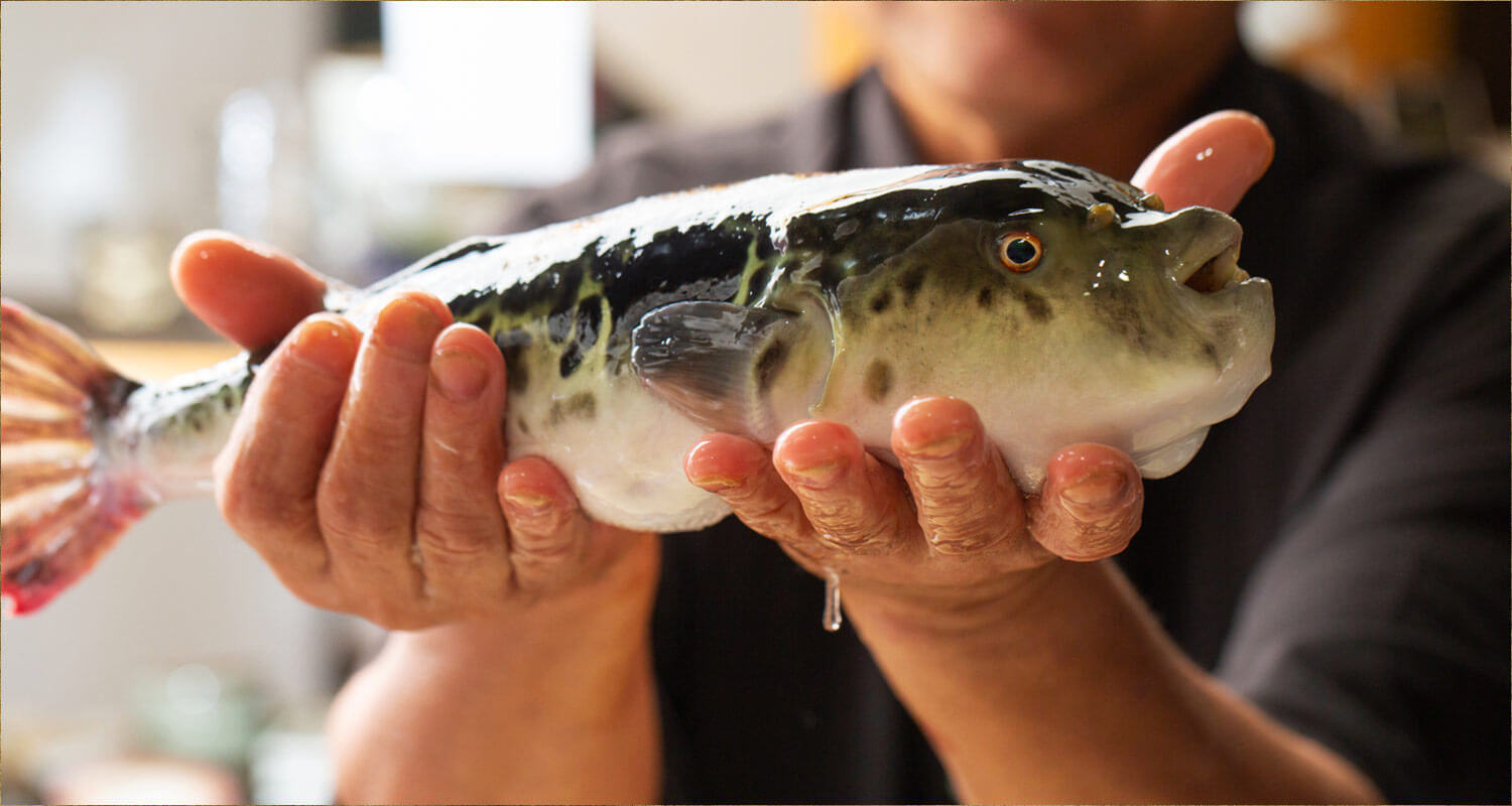 河豚持つ